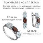 Женские Серьги Серебро Камень натуральный Гранат