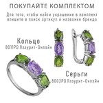 Женские Серьги Серебро Камень натуральный Аметист