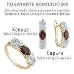 Женские Серьги Серебро Камень натуральный Гранат