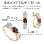 Женские Серьги Серебро Камень натуральный Гранат