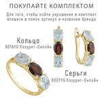Женские Серьги Серебро Камень натуральный Гранат