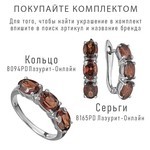 Женские Серьги Серебро Камень натуральный Гранат