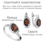 Женские Серьги Серебро Камень натуральный Гранат