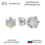 Женские Серьги Серебро Камень натуральный Опал