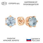 Женские Серьги Серебро Камень натуральный Топаз