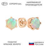 Женские Серьги Серебро Камень натуральный Опал