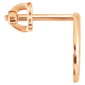 Женские Серьги Серебро Без вставок