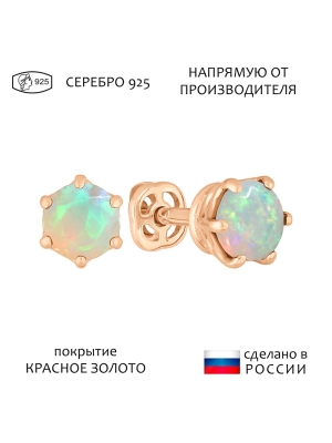 Женские Серьги Серебро Камень натуральный Опал